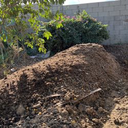 Free Horse Manure