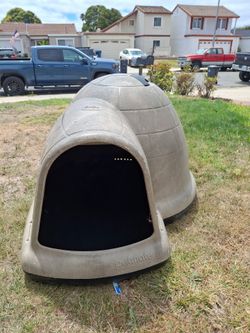 Dog house