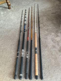 SALTWATER FISHING RODS