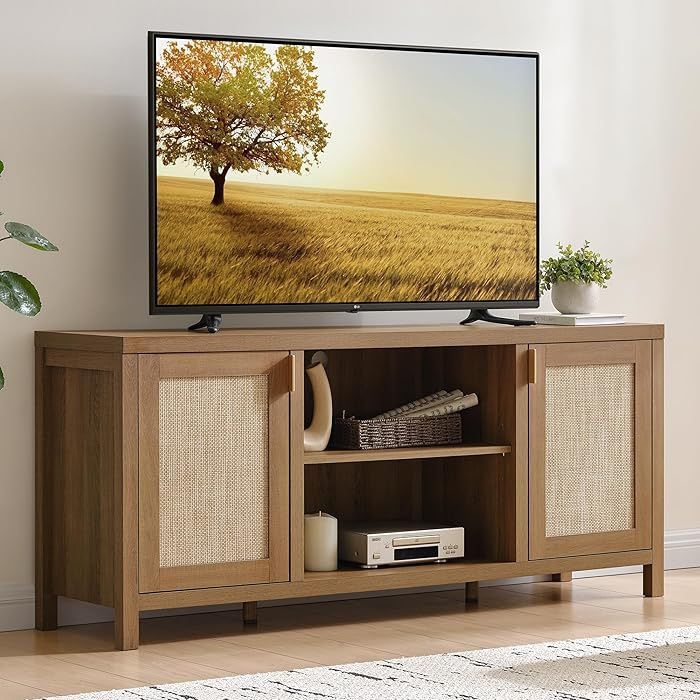 TV Stands for Living Room : Rattan TV Console Cabinet with Storage and Shelf, Boho Entertainment Center, 59" Media Console for 55, 65 Inch TV, 26" Tal