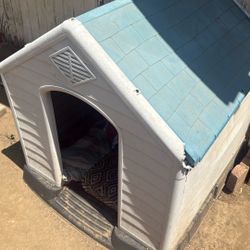 Dog House 