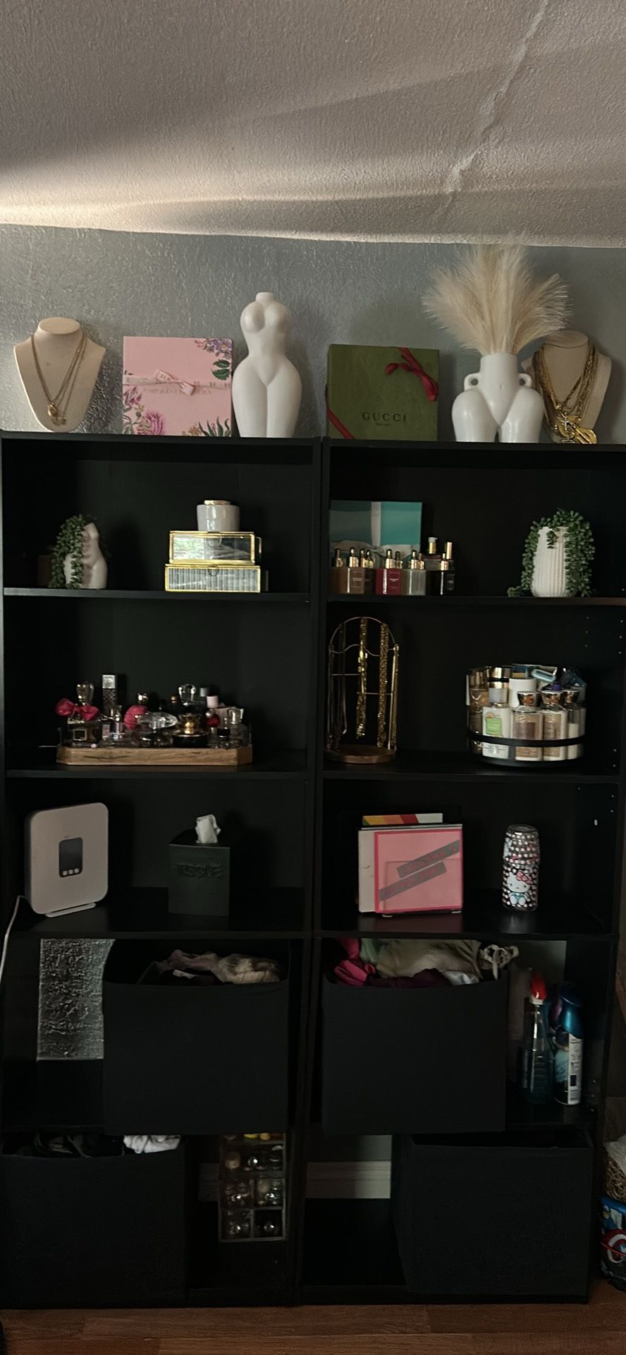 Black Book Shelves