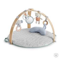 Ingenuity Cozy Activity Gym