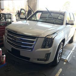 Auto Glass  Windshields Vidrios Para Carros 