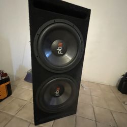 15 Inch Power Bass.  Ported Box 
