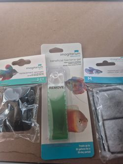 Betta tank
