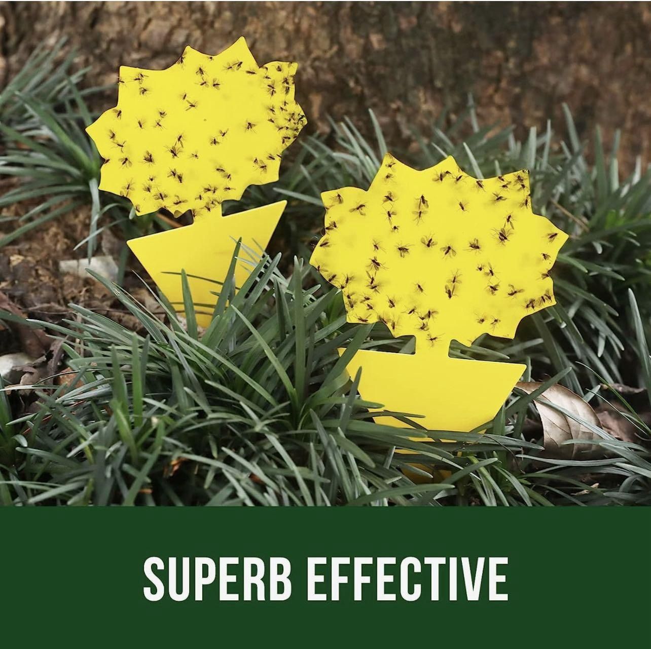 Garsum Fruit Fly Trap Yellow Sticky Fungus Gnat Killer for Indoor and Outdoor Plant Insect Catcher for White Flies,Mosquitos,Fungus Gnats,Flying Insec