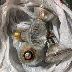 Halogen Bulbs