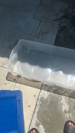 Clear Plastic Storage Container with Lid
