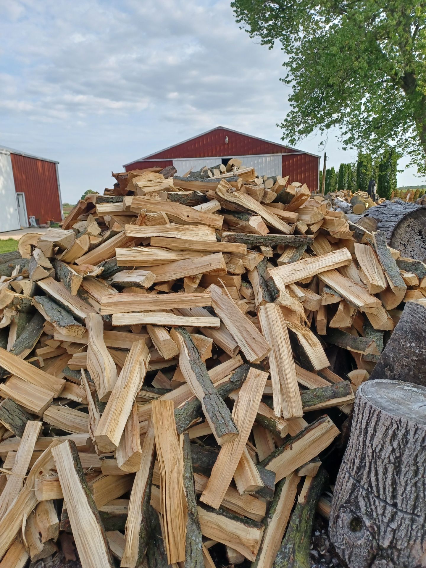 Firewood