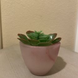 Artificial Plastic Succulent Plant in Pink Ceramic Vase