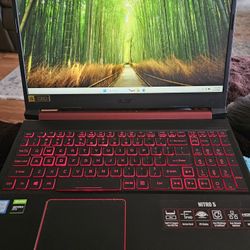 Gaming Laptop Acer Nitro 5, GTX 1050, 64GB RAM