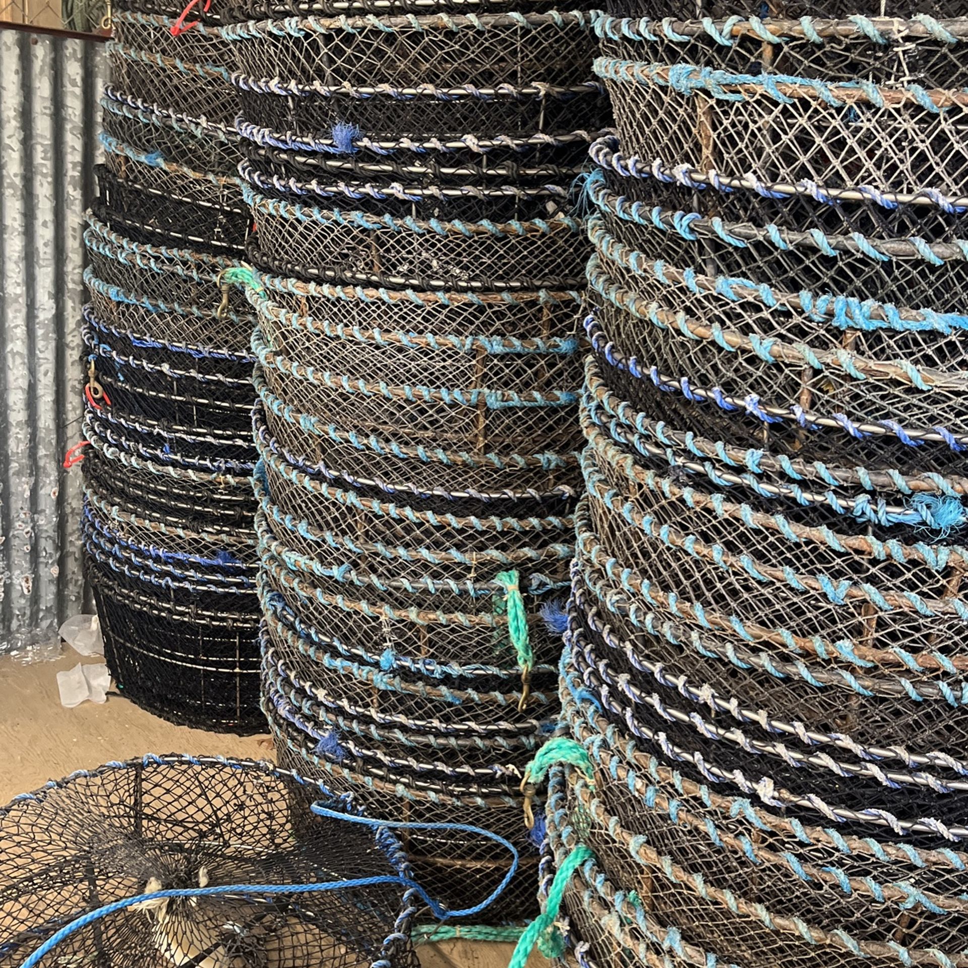 Prawn Traps