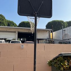 Basketballs 