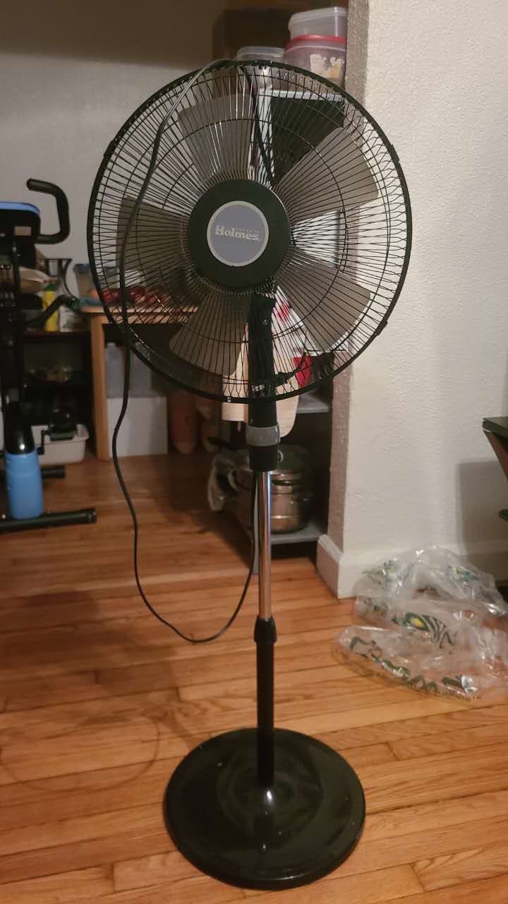 3 Fans
