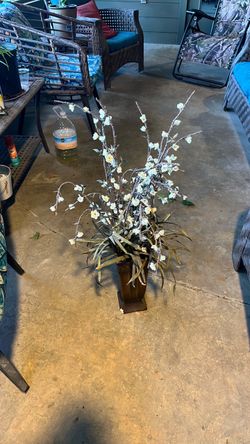 Paper bush plant