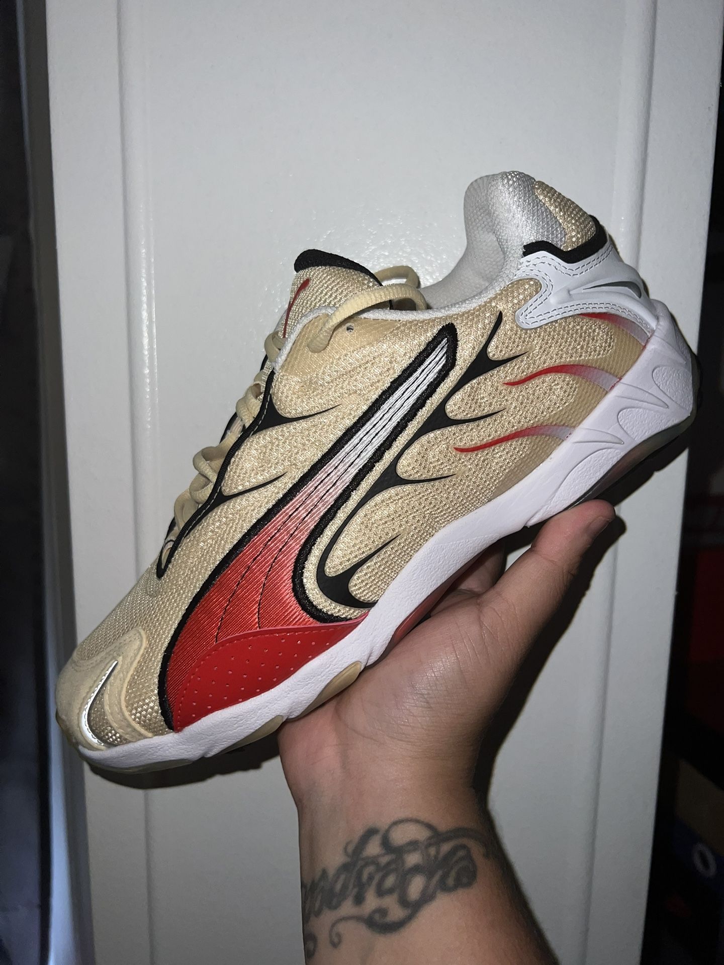Puma Inhale