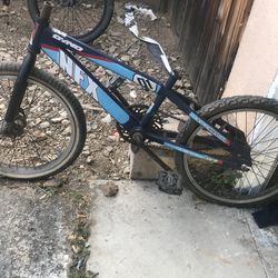 Dino one in NFXPowered by GT