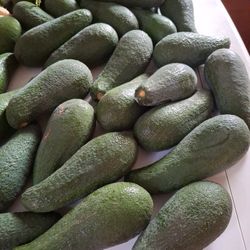 Aguacates 