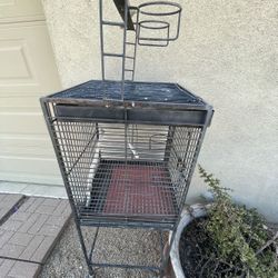 Bird Cage