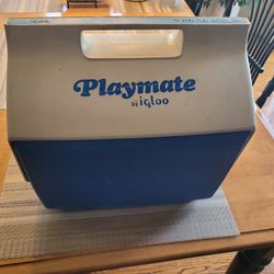 Large Playmate cooler 