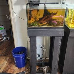 Ready To Go 10 Gallon Aquarium 