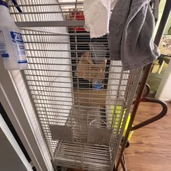 Really Cool Birdcage For Parrots Or Whatever You Have Or Plants