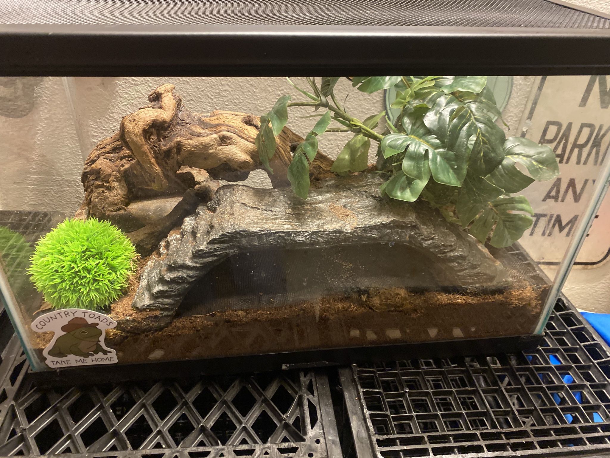 Reptile Tanks & New Supplies