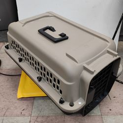 Great Choice plastic hard-sided pet carrier, commonly used for transporting cats or small dogs.