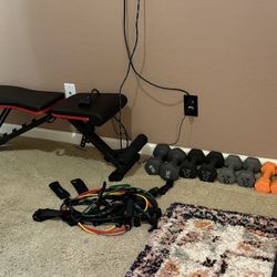 Weight Bench, Dumbbells, Door Straps 