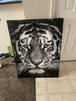 2 Nice Safari Animal Paintings