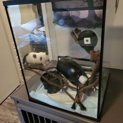 Terrarium 
