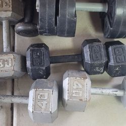 Weights 