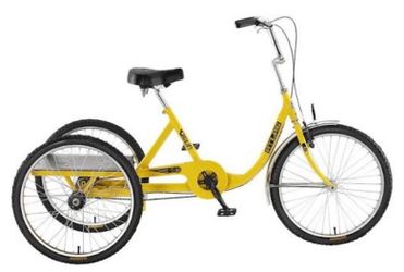 Sun Atlas Cargo 24 Adult Tricycle (3-Speed) - 500lb Capacity