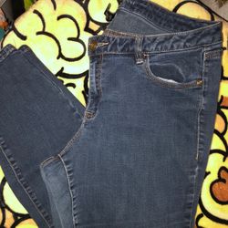 Lane Bryant Skinny Jeans 