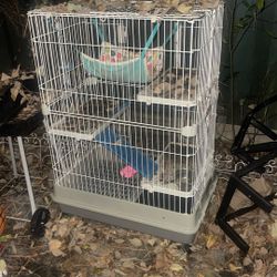 Cage