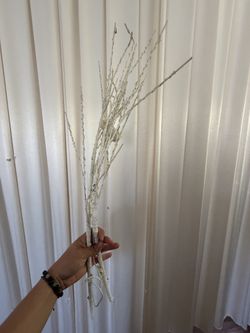 Light decor