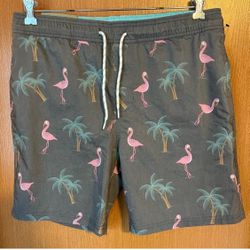 Gray Swim Trunks - New with Tags