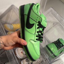 Butter Cup SB 