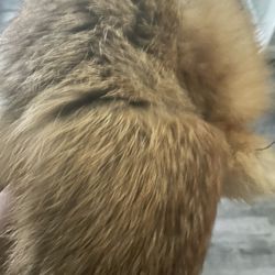 Authentic Fur Hat