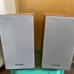 Panasonic Audio Speaker system