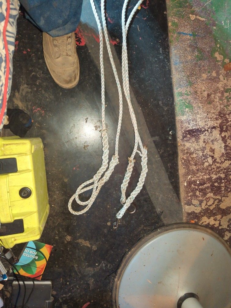 Dog Leash
