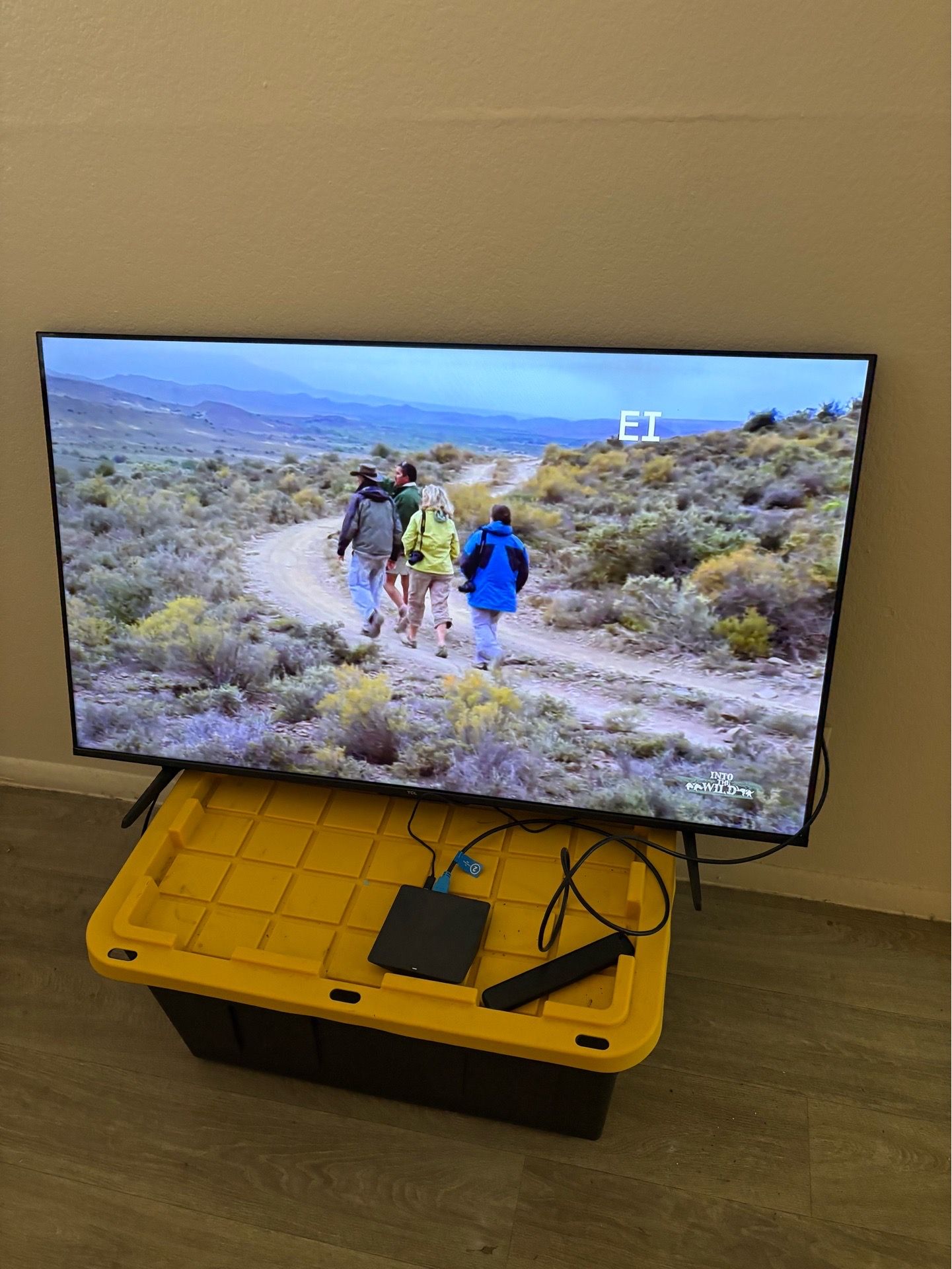 Flatscreen TV