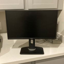 Dell Monitor 