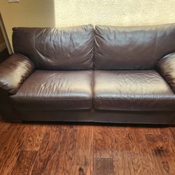 Brown Couch 