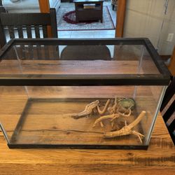 10 Gallon Terrarium