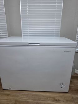 Insignia 10.2 Cu. Ft. Chest Freezer