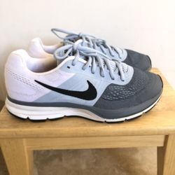 Men’s Nike Pegasus Shoes