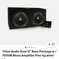 Trition audio system with amplifier and bass adjustment