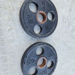 Api Olympic Weight Plates ExerciseEquipment. 